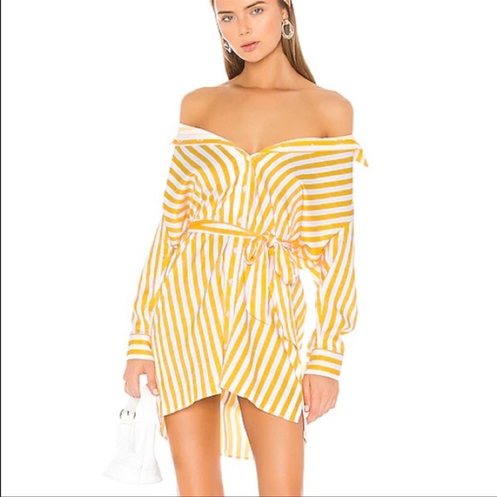 🆕 Michael Costello Robbie Shirt Dress